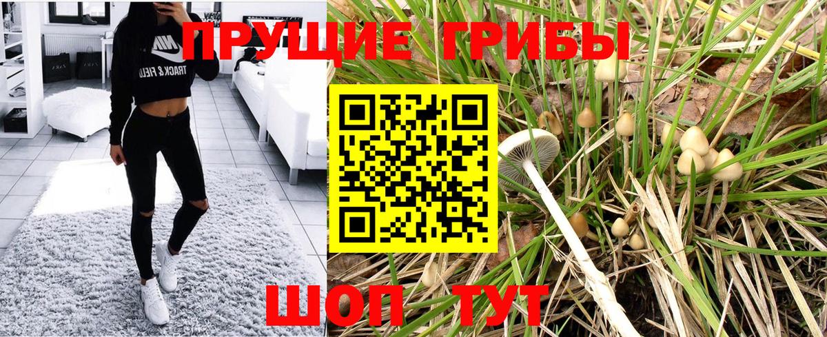 Псилоцибиновые грибы Psilocybe Назарово