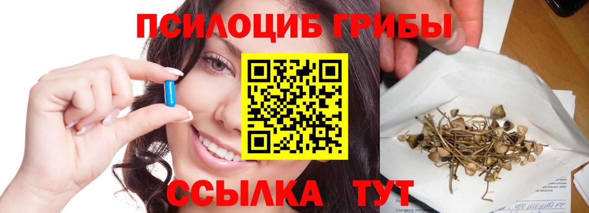 Галлюциногенные грибы прущие грибы  Вход с VPN  Назарово 